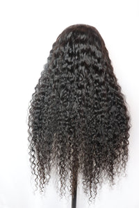 Water Wave Lace Wig (6875416559780)